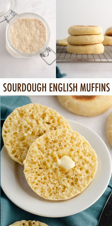 Best Sourdough Starter, Best Sourdough Starter Recipe, Muffins From Scratch, Recipe Using Sourdough Starter, Sourdough English Muffins, Sourdough Bread Starter, Dough Starter, Sourdough Starter Discard Recipe, Starter Recipe