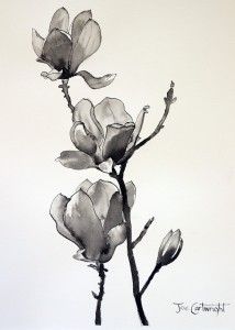 Pen and ink drawing of Magnolias Pen And Ink Techniques, Black Ink Art, Ink Techniques, Pen And Wash, Tinta China, White Drawing, Ink Wash, India Ink, Pen And Watercolor