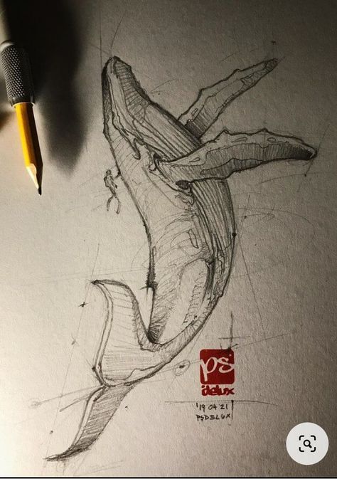 Whale Sketch, Whale Artwork, Pencil Drawing Ideas, Horse Art Drawing, Drawn Fish, Fish Artwork, Animal Drawings Sketches, Whale Design, Sketch Artist