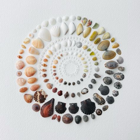 mini made of seashells from Panama in neutrals #seashells🐚 #seashellart #mixedmediaart #oceantreasures #foundobjects #foundobjectart… | Instagram Seashell Pictures, Shell Collage, Hawaii Crafts, Seashell Artwork, Seashell Display, Seashell Art Diy, Shell Artwork, San Blas Islands, Seashell Wall Art