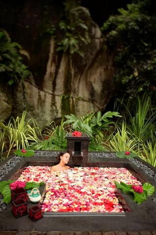 18 Most Beautiful Resort Spa Baths and Pools Banyan Tree, Seychelles, In The Middle, The Middle, Spa, Trees, Bath, Plants, Flowers