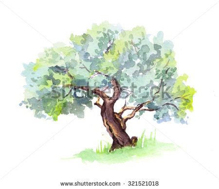 guy mellegenes oak tree watercolor | Olive Tree. Watercolor Stock Photo 321521018 : Shutterstock Olive Tree Watercolor, Olive Tree Painting, Watercolor Tattoo Tree, Mother Earth Art, Tree Watercolor Painting, Tree Watercolor, Watercolor Subjects, Image Nature, Watercolor Tree