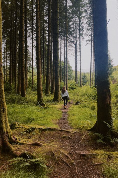 #forest #forestwalk #foresthike #hike #walk #walking #wales #uk #england #devon #cornwall #trees #camera #photographer #photograph #photo #inspiration #dayout #spring #summer #autumn #winter #fall #summerholiday #trees #pinterest #pinteresinspiration #tiktok #holiday #exploring #walkingholiday #breconbeacons #penyfan #freshair #aesthetic Hiking England Aesthetic, Forest Vision Board, Walk In The Forest Aesthetic, Day Hike Aesthetic, Forest Walks Aesthetic, Hiking In Forest, Puget Sound Aesthetic, Walking In Forest Aesthetic, Walking Astethic