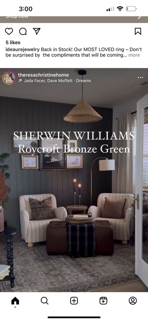 Moody Color Palette Sherwin Williams, Nutshell Sherwin Williams, Sherwin Williams Moody Green, Sw Roycroft Bronze Green, Green Onyx Sherwin Williams, Porpoise Sherwin Williams, Roycroft Bronze Green Sherwin Williams, Moody Green Living Room, Roycroft Bronze Green