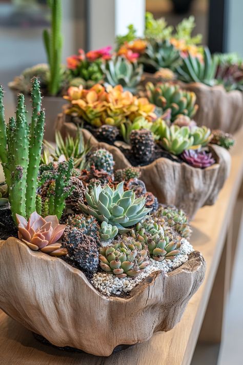 Explore creative succulent and cactus planter ideas! Discover tips for thriving growth and unique displays. #Succulents #Cacti Succulent Shop Ideas, Cactus Planter Ideas, Small Succulent Garden, Cactus Ideas, Mini Cactus Garden, Succulent Ideas, Garden Inspo, Succulent Garden Diy, Mini Cactus