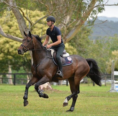 Horse Riding Pose Reference, Horse Riding Reference, Horse With Rider, George Morris, Horse Magazine, Equestrian Helmet, Horse Names, Dressage Horses, Brown Horse