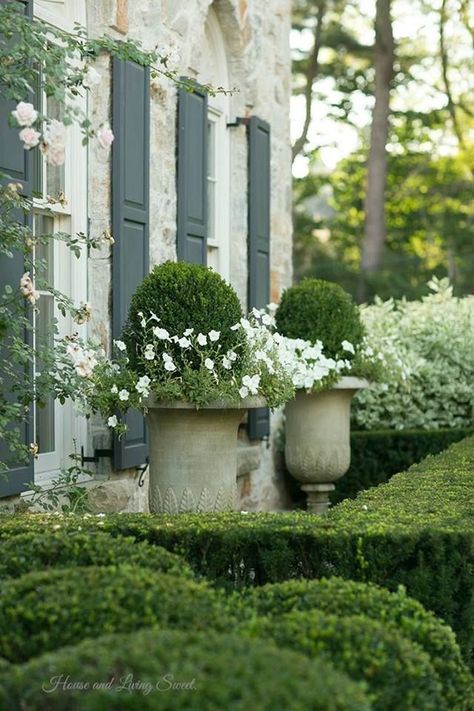 stone home boxwoods & white flowers. Garden Urns, Formal Garden, Formal Gardens, Garden Containers, French Garden, White Gardens, Gorgeous Gardens, Garden Layout, Garden Cottage