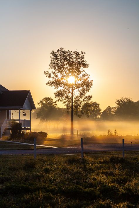 Shipshewana Indiana, Amish Culture, Amish Farm, Future Farms, The Sun Rises, Sun Rises, Amish Country, Country Farm, Country Life