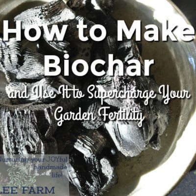 Search for "how to make biochar" | Joybilee® Farm | DIY | Herbs | Gardening | Back Yard Gardens, 8 Week Blood Sugar Diet, Soil Amendments, Farm Diy, Yard Plants, Herb Gardening, Blood Sugar Diet, Doctor Advice, Health And Fitness Magazine