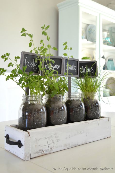 Create a fun tabletop herb garden using an old pallet and jars! Diy Table Top, نباتات منزلية, Herb Garden Design, Kitchen Herbs, Indoor Herb Garden, Herbs Indoors, Old Pallets, Growing Herbs, Decor Minimalist