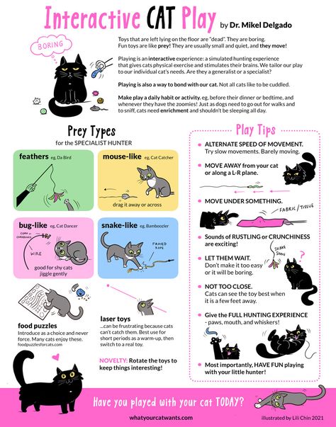 Cat Infographic, Cat Enrichment, Kitty Care, Cat Information, Cat Tips, Info Board, Cat Info, Kitten Care, Cat Things