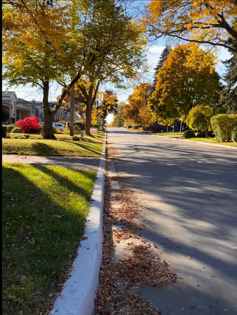 Suburban City Aesthetic, Suburb Aesthetic, Neighborhood Aesthetic, American Neighborhood, Life In Usa, Usa Living, Carolina Do Norte, Canada Pictures, October Sky