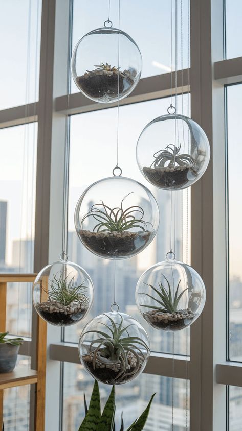 Add elegance to your space with hanging glass terrariums. Perfect for air plants and succulents! Click to learn how. #glassgarden #terrariums Hanging Glass Globes Plants, Hanging Terrarium Ideas, Air Plant Terrarium Ideas, Hanging Air Plants Diy, Airplant Terrarium, Diy Terrariums, Air Plants Diy, Plant Products, Hanging Glass Terrarium