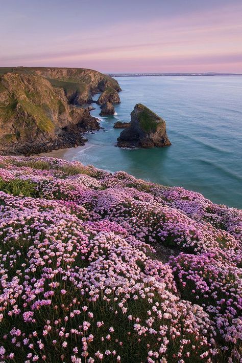 Landscape Sea, Nature Photography Flowers, Dream Landscape, Sea Photography, Cornwall England, Pretty Landscapes, Beautiful Nature Wallpaper, Alam Yang Indah, Nature Aesthetic