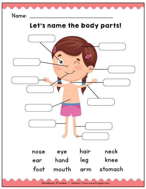 Printable: Identify the Body Parts Learning Worksheets - https://tribobot.com Parts Of My Body Preschool, Body Parts Worksheet, Body Parts For Kids, Human Body Worksheets, Body Preschool, Body Parts Preschool, English Activities For Kids, Worksheet For Kids, Learning English For Kids