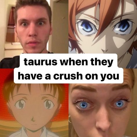 A Crush, Taurus Zodiac, It Gets Better, Your Crush, Having A Crush, Astrology, Signs, Memes