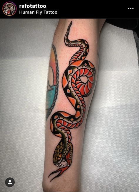 Traditional Snake Tattoo Forearm, American Traditional Rattlesnake Tattoo, Traditional Style Snake Tattoo, Traditional Rattlesnake Tattoo, Snake American Traditional Tattoo, Traditional Snake, Snake Tattoo Traditional, Old School Snake Tattoo, American Traditional Snake