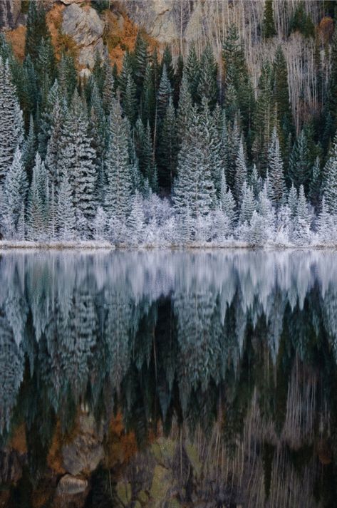 Charcoal Drawings, Winter Szenen, Bear Lake, Peaceful Places, Amazing Views, Winter Beauty, Snow Scenes, Holiday Magic, Rocky Mountain National