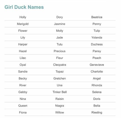 Cute Names For Ducks, Duck Names Ideas, Funny Duck Names, Duckling Care, Duck Things, Stardew Valley Game, Hanging With My Peeps, Duck Ideas, Pet Duck