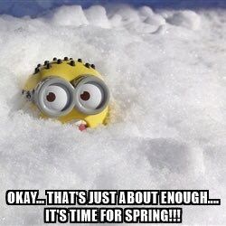 Cold Humor, Cold Weather Funny, Cold Weather Quotes, Winter Jokes, Winter Humor, Snow Humor, Is It Spring Yet, Funny Weather, Minion Pictures