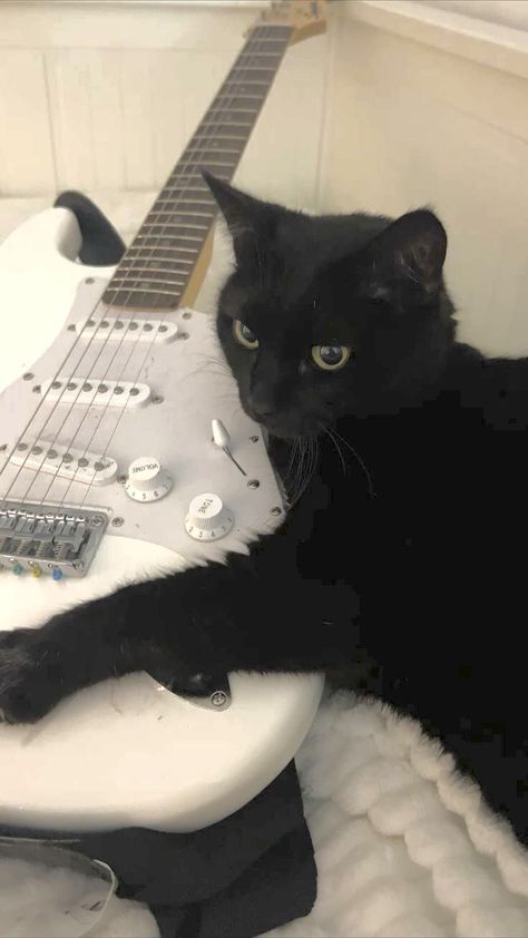 Cute Black Cat Aesthetic Wallpaper, Black Cats Wallpaper Aesthetic, Guitar Background Wallpapers, Black Cat Wallpaper Dark, Cats With Guitar, Cat With Electric Guitar, Black Cat Wallpaper Aesthetic, Aesthetic Wallpaper Guitar, Guitar Wallpaper Aesthetic