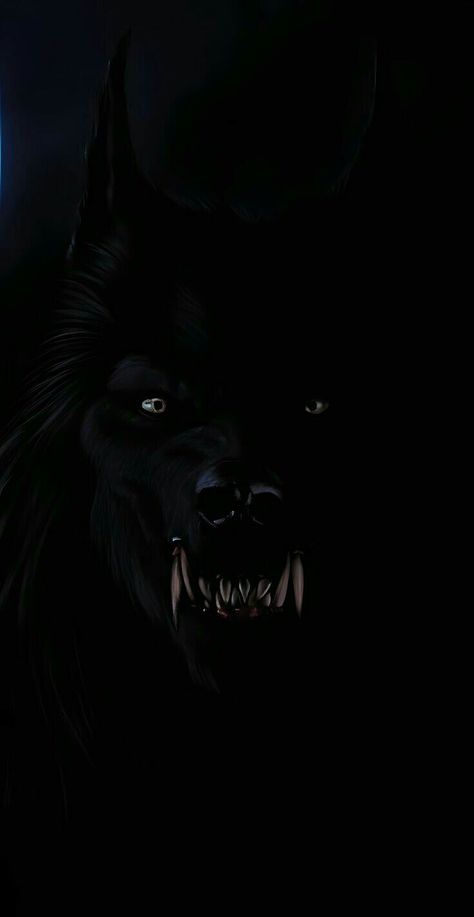 Lycanthrope Aesthetic, Werewolf Aesthetic Male, Werewolf Wallpaper, Van Helsing Werewolf, Scary Werewolf, Werewolf Eyes, Female Werewolves, Dark Wolf, Shadow Wolf