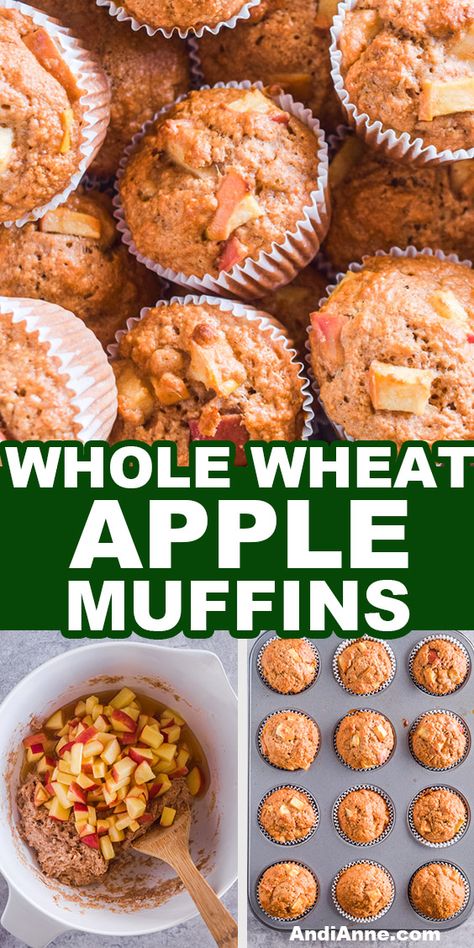 These Whole wheat apple muffins are made using sweet apples, cinnamon, honey, and whole wheat flour making a hearty golden brown muffin. Recipes That Use Whole Wheat Flour, Wheat Breakfast Recipes, Whole Wheat Apple Bread, Whole Wheat Flour Dessert Recipes, Whole Wheat Muffins Healthy, Whole Wheat Baked Goods, Whole Wheat Recipes Baking, Whole Wheat Apple Muffins, Recipes Using Whole Wheat Flour