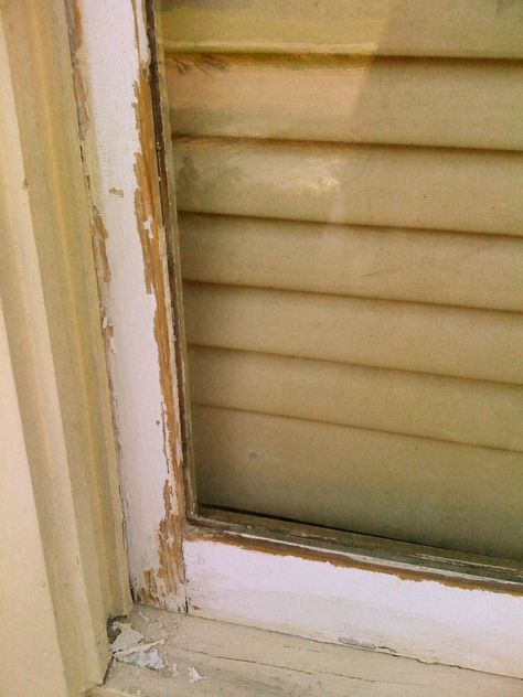 Can you reglaze windows without removing the glass? Find the answer here and restore your old windows the right way. Caulking Windows, 1920s Craftsman, Historic Windows, Kitchen 2020, Porch Windows, Window Trim Exterior, House Restoration, Craftsman Style Home, Window Repair