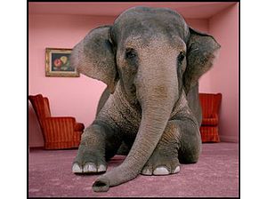 Murakami Haruki, Elephant In The Room, Biggest Elephant, Living Room Images, Youth Room, Asian Elephant, Elephant Statue, Haruki Murakami, Elephant Art