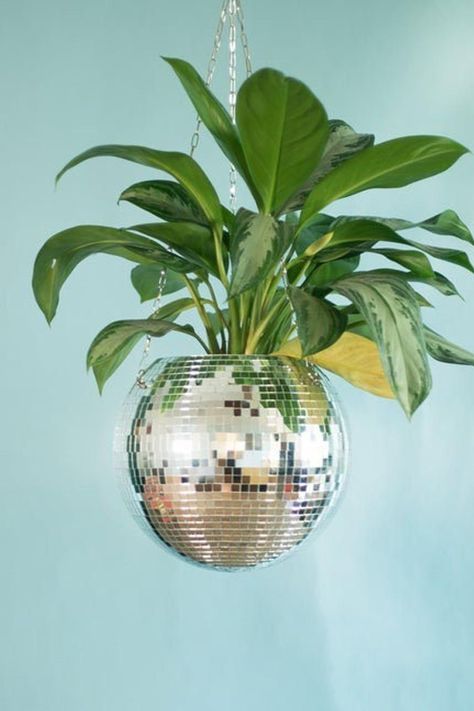 Disco Ball Hanging, Disco Ball Planter, Hanging Basket Garden, Front Yard Decor, Cozy Garden, Hanging Wall Planters, Rope Mirror, Hanging Herbs, Wall Hanging Basket