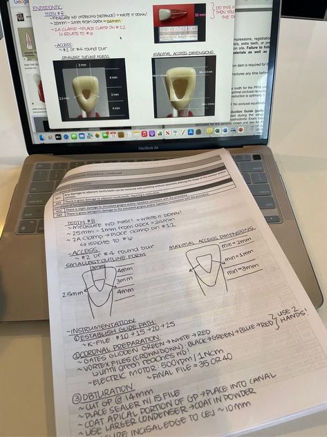 Dentistry Notes Aesthetic, Dentist Career, Future Dentist, Exam Notes, Dental Aesthetics, Dental Exam, Dental Hygiene School, Dentistry Student, One Day Detox