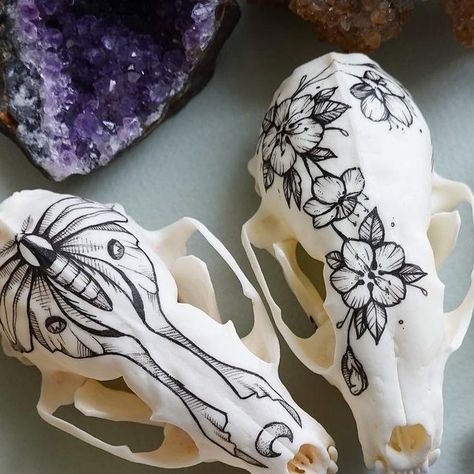 Decorated Animal Skulls, Decorated Cow Skulls, Painting Bones, Animal Bone Art, Graveyard Garden, Bone Hunting, Weird Diy, Bone Witch, Oddity Art