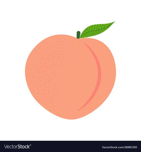 Peach Clipart Fruit, Peach Vector, Cartoon Peach, Peach Drawing, Peach Illustration, Fruit Icons, Peach Fruit, Fruit Illustration, Line Art Drawings