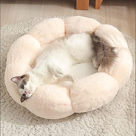 FGYZYP Flower Shaped Plush Dog Cat Bed, 16inch Winter Soft Pet Cushion Mat, Self Warming Donut Cat Bed Pad with Non-Slip Bottom Machine Washable for Sleep Warm Cat Kitten Puppy and Small Medium Dog : Amazon.co.uk: Pet Supplies Sofa Comfortable, Cat Sofa, Donut Cat, Plush Flower, Calming Cat, Cozy Sleep, Flower Dog, Soft Bed, Cat Products