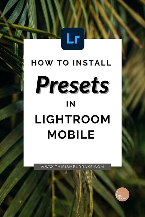 Here’s an easy step-by-step installation guide on how to install mobile lightroom presets on your phone in the free Lightroom CC app 🤳🏽📸 | www.thisismeldrake.com | how to install lightroom mobile presets | lightroom editing tips and tricks | lightroom for beginners | lightroom tutorial Lightroom Tips And Tricks, Picture Edits, How To Use Lightroom, Mobile Editing, Photography Lightroom, Adobe Lightroom Cc, Editing Tips, Wacom Tablet, Mobile Lightroom Presets