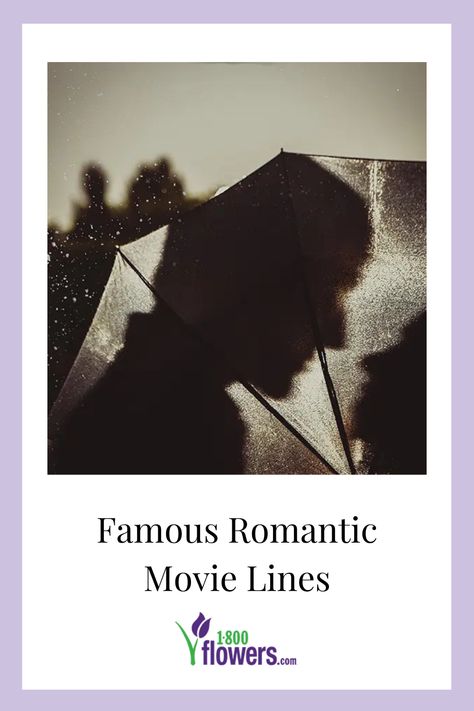 Famous romantic movie lines are hard to forget. Here at 1-800-Flowers, we love movie lines about love. Find all the best love quotes from movies in our latest story. Famous Romantic Movie Quotes, Famous Love Quotes From Movies, Lines About Love, Witty Love Quotes, Movie Quotes About Love, Movie Quotes Love, Love Quotes From Movies, Romance Movies Quotes, Anniversary Captions