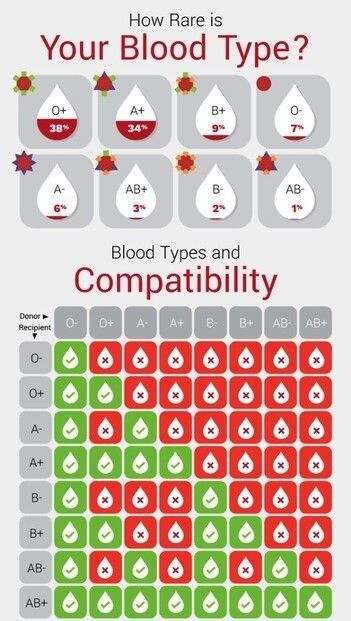 B negative(B -ve), which is found in 1.5 percent of the total population. AB negative(AB -ve), which is found in 0.6 percent of the total population. AB positive(AB +ve), which is found in 3.4 percent of the total population. Medic School, Blood Compatibility, Rarest Blood Type, Phlebotomy Study, Blood Donation Posters, O Blood Type, Blood Types, Blood Drive, Blood Groups