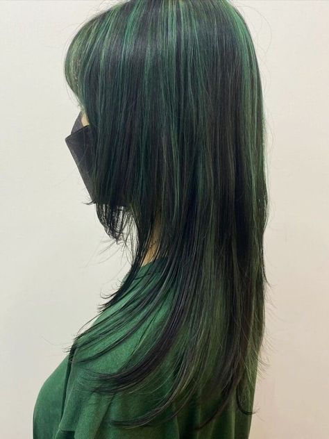 black hair with green highlights Black With Dark Green Highlights, Black Hair Coloured Streaks, Blue Black Hair With Silver Highlights, Black With Green Highlights Hair, Turquoise Highlights On Black Hair, Green And Black Chunky Highlights, Green Hair With Black Highlights, Blue And Green Highlights In Black Hair, Colored Hair With Black