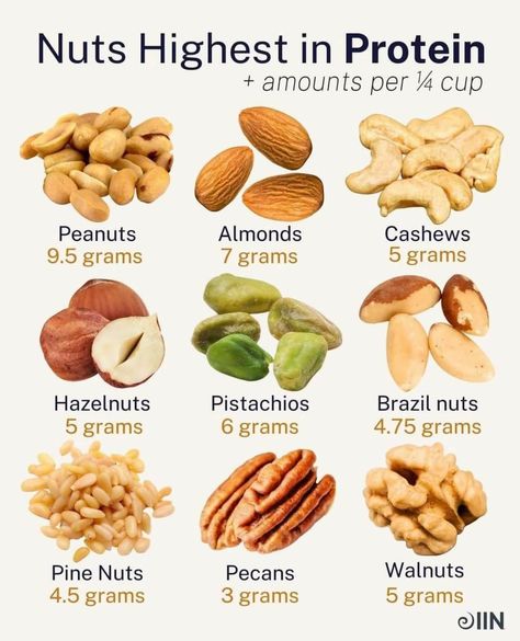 Healthy Nuts, Resep Diet, Healthy Lifestyle Food, Food Info, High Protein Diet, Healing Food, Food Facts, Pine Nuts, Nutrition Tips