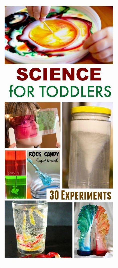 30 FUN Science experiments perfect for toddlers- We have done a few of these, and my kids were in awe! Science For Preschoolers, Prek Printables, Prek Science, Prek Homeschool, Vetenskapliga Experiment, Fun Science Experiments, Montessori Board, Toddler Science Experiments, Storytime Ideas