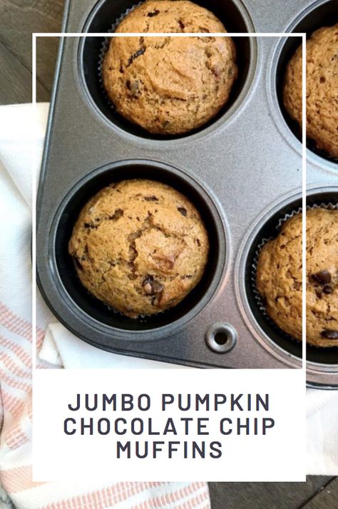 Jumbo Pumpkin Chocolate Chip Muffins, Muffins Baby, Donuts Recipes, Jumbo Muffins, Biggest Pumpkin, Pumpkin Chocolate Chip Muffins, Pumpkin Chocolate Chip, Pumpkin Chocolate Chips, Pumpkin Flavor