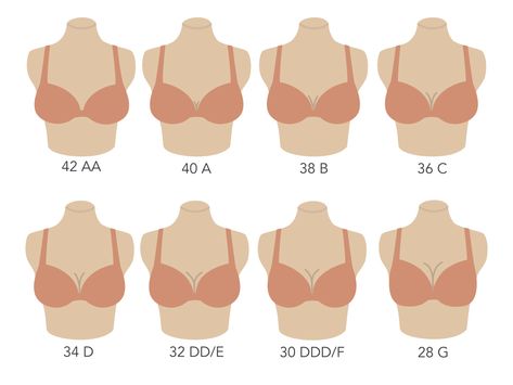 Find Bra Size, Bra Sizing, Correct Bra Sizing, Measure Bra Size, Bra Size Calculator, Bra Fitting Guide, Bra Measurements, Bra Size Guide, Bra Size Charts