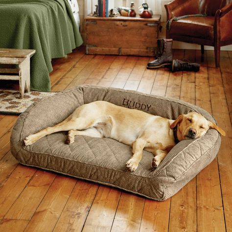 Orvis Memory Foam Bolster Dog Bed - Outdoor Dog Beds, Dog Couch Bed, Mastiff Puppy, Orvis Fly Fishing, Dog Magazine, Bolster Dog Bed, Multiple Dogs, Senior Dogs, Fly Fishing Gear