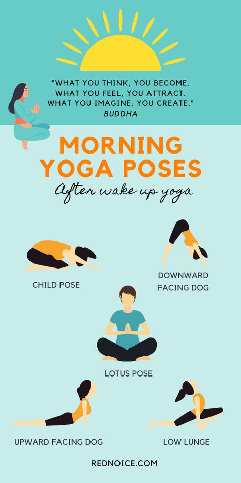 This 15-Minute Morning Yoga Routine Will Help You Start The Day Right 15 Minute Morning Yoga, Morning Yoga Poses, Wake Up Yoga, Morning Workout Routine, Morning Yoga Flow, Morning Yoga Routine, Upward Facing Dog, Easy Yoga Poses, Barre Workout