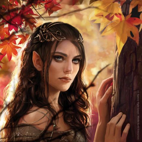 Imgur: The most awesome images on the Internet Magali Villeneuve, Arwen Undomiel, Female Elf, Heroic Fantasy, Fantasy Magic, Arte Fantasy, Fantasy Inspiration, Fantasy Artwork, Middle Earth