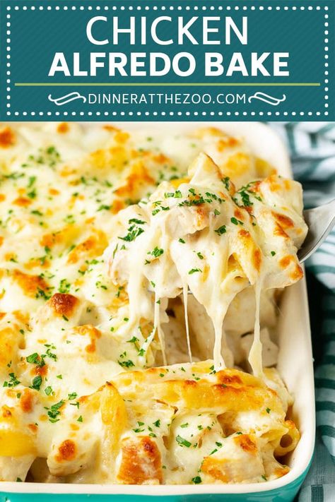 Chicken Alfredo Bake | Baked Pasta #chicken #pasta #cheese #comfortfood #dinner #dinneratthezoo White Sauce Pasta Bake Recipes, Chicken Noodle Alfredo Casserole, Baked Pasta With White Sauce, Chicken Parm With Alfredo Sauce, Good Family Recipes, Baked White Pasta Recipes, Baked White Pasta, Baked Chicken Broccoli Alfredo, Garlic Chicken Alfredo Pasta