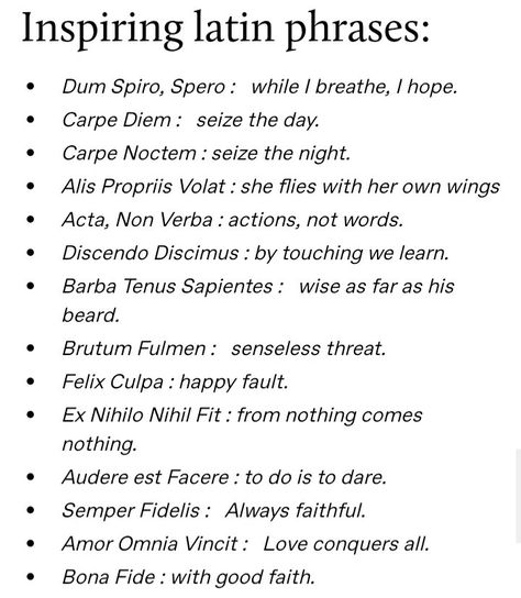 Pretty Latin Phrases, Inspiring Latin Phrases, One Sided Pining Prompts, Pretty Phrases In English, Deep Latin Phrases, Wiccan Phrases, Latin Phrases Worth Knowing, Latin Bio Ideas, Latin Username Ideas