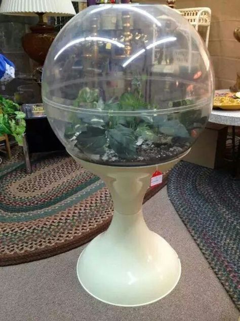 Space Age Terrarium, Vintage Terrarium, Vintage Wishlist, Thrift Manifestation, Large Terrarium, Terrarium Ideas, Room 2023, Blue Slime, Mod Design