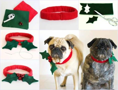 34 DIY Dog Collar Ideas - DIY & Crafts Dogs Outfits, Animal Treats, Dogs Diy Projects, Christmas Dog Outfits, Christmas Collar, Diy Dog Collar, Dog Diy, Cat Tent, Diy Dog Costumes