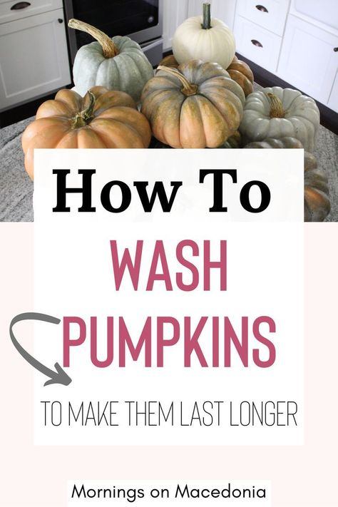 Charity from Mornings on Macedonia sharing my tips and tricks on how to wash your pumpkins to make them last longer. If you decorate your porch with farm fresh pumpkins like I do, use these ideas to help preserve their lifeline without rotting! Click the link for all the details and follow for more inspiration! Preserving Pumpkins, Pumpkin Spray, Bleach Water, Farm Fresh Pumpkins, Porch Pumpkins, Pretty Pumpkins, Artificial Pumpkins, How To Make Pumpkin, How Do You Clean